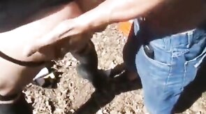 Bareback Outdoor Fun with Horny Strangers