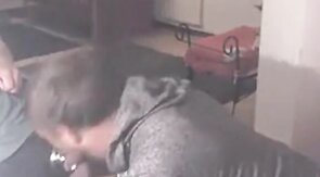 Reeper's Head & Cock Blowjob Amateur Webcam Video