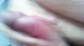 Daddy Bear Rubs Cocks with His Cub