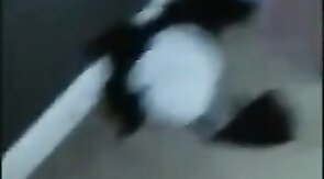 Big Black Cock Barebacks Fat Ass