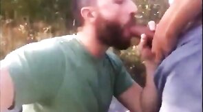 Outdoor Bareback Sex and Blowjob