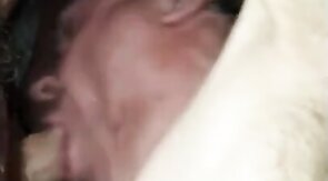 Amateur Cock-Sucking Extravaganza