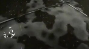 Amateur Big Cock Blowjob Compilation