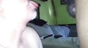 Black Bear Cub Takes on Daddy