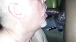 Black Bear Cub Takes on Daddy