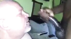 Black Bear Cub Takes on Daddy