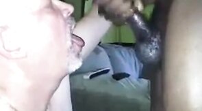 Black Bear Cub Takes on Daddy