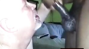 Black Bear Cub Takes on Daddy