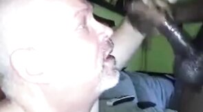 Black Bear Cub Takes on Daddy