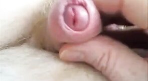 Small Cock Masturbation Solo