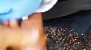 I fuck and blows black cock