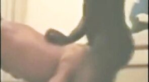 Black Amateur Gives a Blowjob to a Frenchman