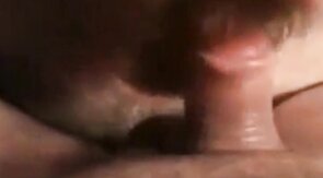 Amateur Daddy Bear Sucks Cock