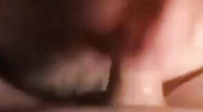 Amateur Daddy Bear Sucks Cock