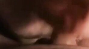 Amateur Daddy Bear Sucks Cock