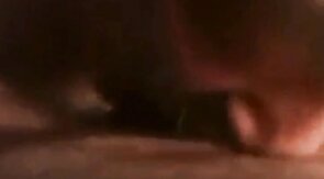 Amateur Daddy Bear Sucks Cock