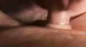 Amateur Daddy Bear Sucks Cock