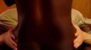 Black Jock Bred by White Top Bareback