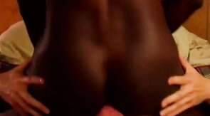 Black Jock Bred by White Top Bareback