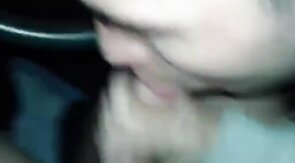 Big Cock Blowjob in a Car