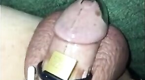 Cuckold Humiliation: Caged, Fat Cock Exposed by Hotgirl