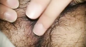 Hairy Bear Pleasures Himself