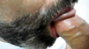 Mature Gay Bear Gives Blowjob