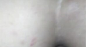 Freaky CD Jim's Bareback Adventure, Part 3