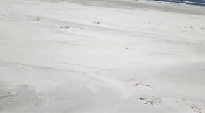 Outdoor Handjob on the Beach with Denis Matern
