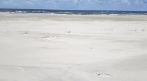 Outdoor Handjob on the Beach with Denis Matern