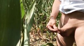 Summer Sun, Outdoor Fun: Wank & Piss