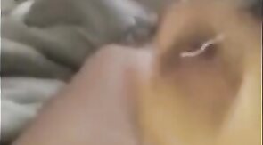 Huge Cum Shot After a Quick Solo Session