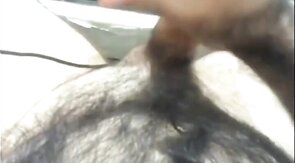 Hairy Bear Shows Off on Webcam