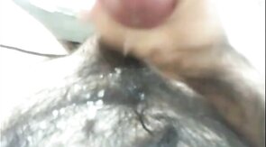 Hairy Bear Shows Off on Webcam