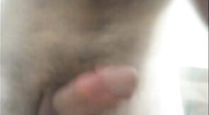 Hairy Bear Shows Off on Webcam