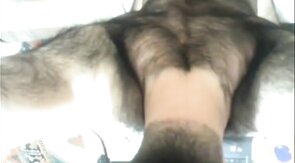 Hairy Bear Shows Off on Webcam