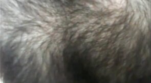 Hairy Bear Shows Off on Webcam