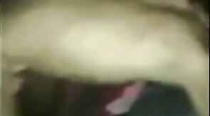 Intense Bareback Orgy with Amateur College Twinks