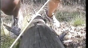 Outdoor Handjob Fun: Tree Trunk Humping Adventure