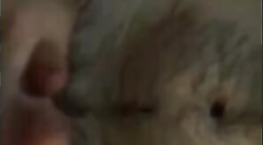 Big Cocks Heads Together for Group Sex