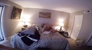 Bareback Daddy's Big Cock Ride