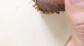 Creamy Glory Hole Load After Work