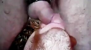 Beach Blowjob Adventure