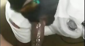Big Black Cock Sucked by a Hungry Amateur
