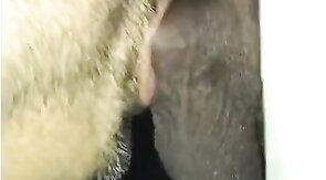 Big-Cock Daddy at the Bookstore
