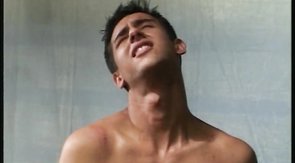 Four spicy horny lads are wanking their hard boners