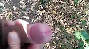 Hand Relief in the Park