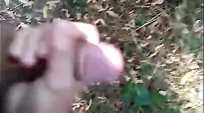 Hand Relief in the Park