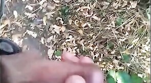 Hand Relief in the Park