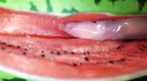 Muscular Amateur Self-Swallowing Fruit Fuck